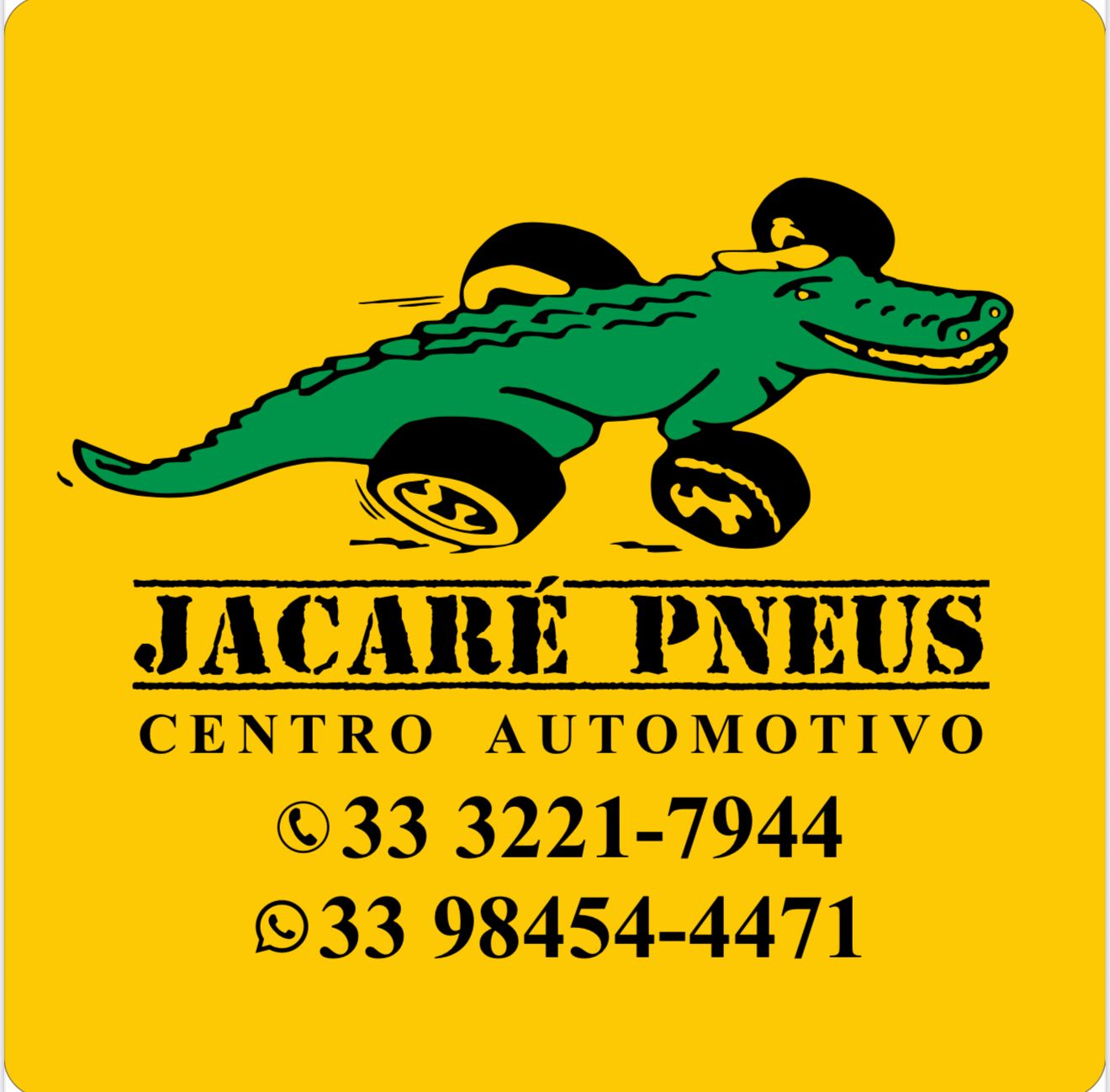 JACARÉ PNEUS