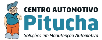 PITUCHA PREMIUM REPARAÇÃO AUTOMOTIVA